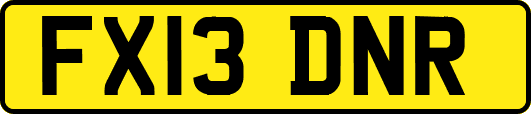 FX13DNR