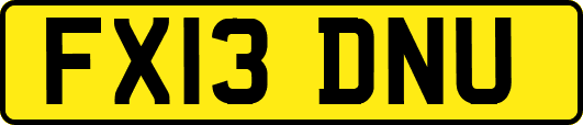 FX13DNU