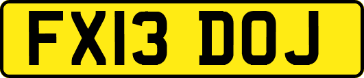 FX13DOJ