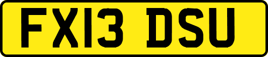 FX13DSU