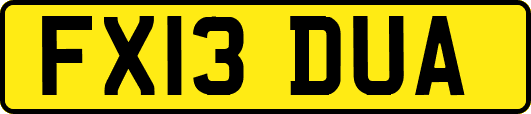 FX13DUA