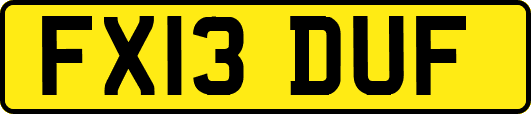 FX13DUF