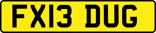 FX13DUG