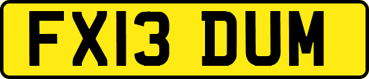 FX13DUM