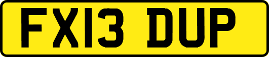 FX13DUP
