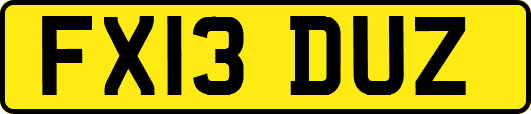 FX13DUZ