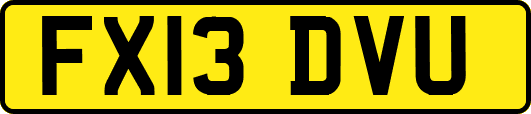 FX13DVU