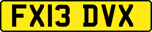 FX13DVX