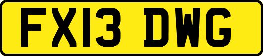 FX13DWG