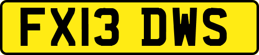 FX13DWS
