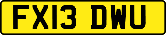 FX13DWU