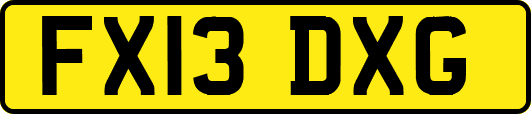 FX13DXG