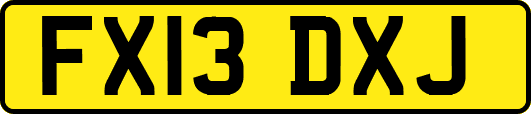 FX13DXJ