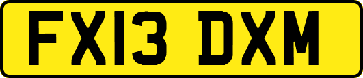 FX13DXM