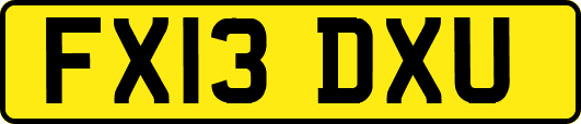 FX13DXU