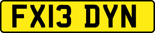 FX13DYN