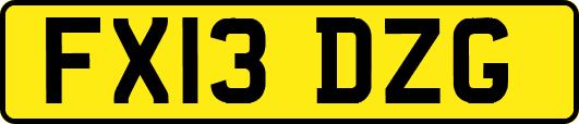FX13DZG