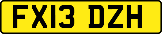 FX13DZH