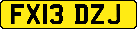 FX13DZJ