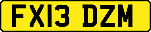 FX13DZM