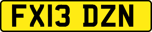 FX13DZN