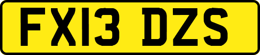 FX13DZS