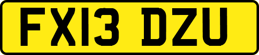 FX13DZU