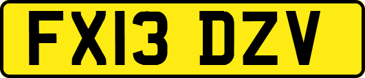 FX13DZV