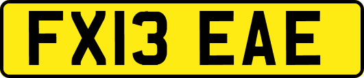 FX13EAE