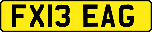 FX13EAG