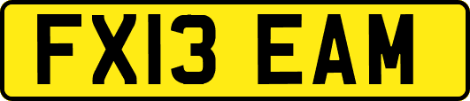 FX13EAM