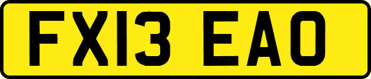 FX13EAO
