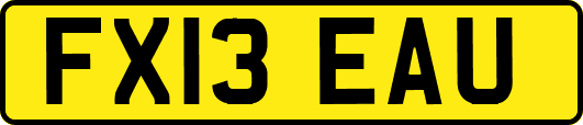 FX13EAU