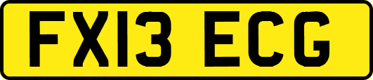 FX13ECG