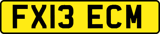 FX13ECM
