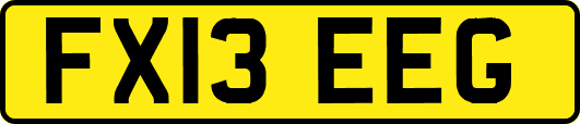 FX13EEG