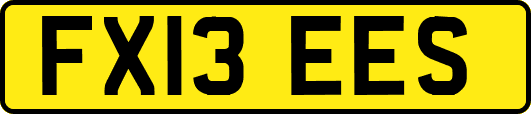 FX13EES
