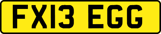 FX13EGG