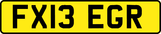 FX13EGR