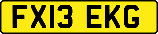 FX13EKG