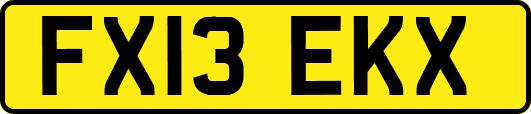 FX13EKX