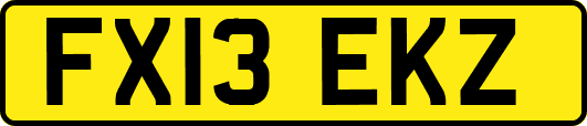 FX13EKZ