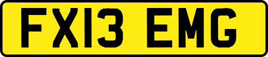 FX13EMG