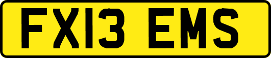 FX13EMS