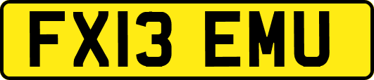 FX13EMU