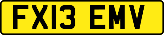 FX13EMV