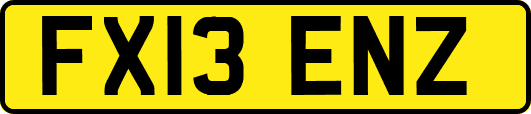 FX13ENZ