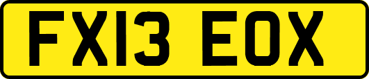 FX13EOX