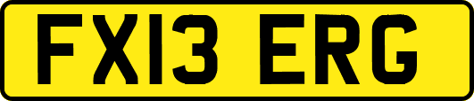 FX13ERG
