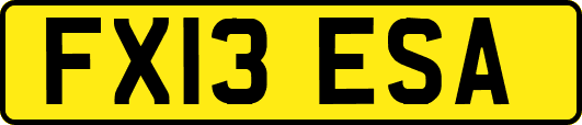 FX13ESA